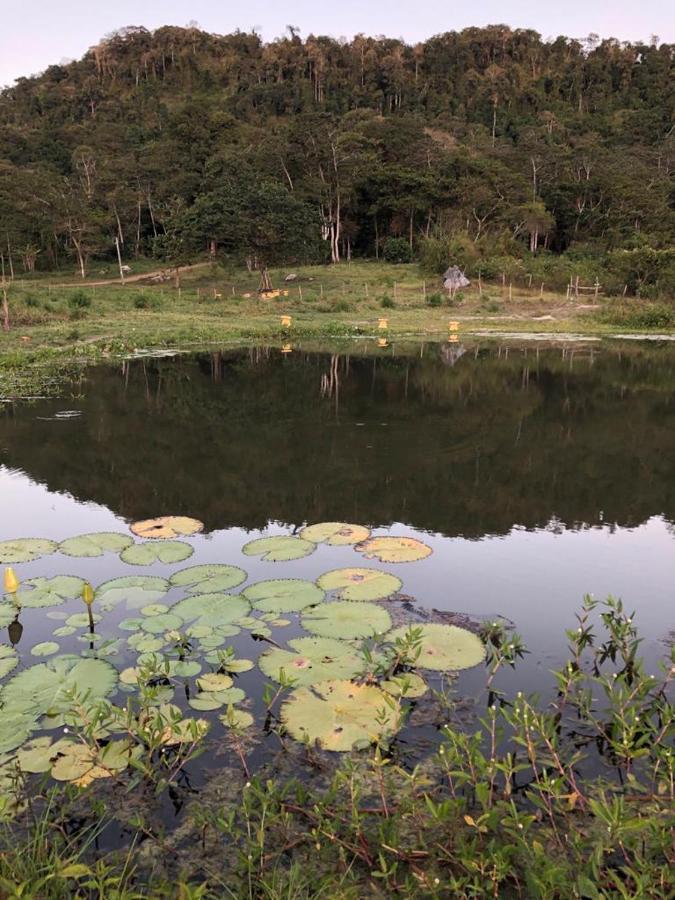 帕科蒂Quartos Dossel - Sitio Belo Monte住宿加早餐旅馆 外观 照片