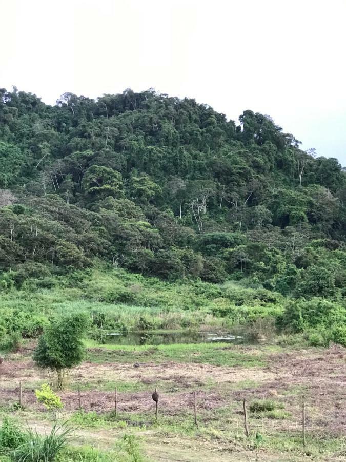 帕科蒂Quartos Dossel - Sitio Belo Monte住宿加早餐旅馆 外观 照片