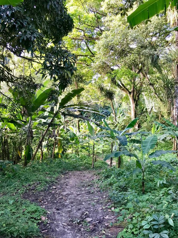 帕科蒂Quartos Dossel - Sitio Belo Monte住宿加早餐旅馆 外观 照片