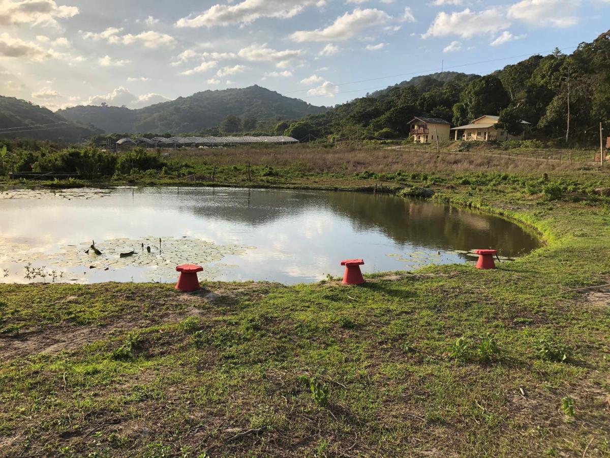 帕科蒂Quartos Dossel - Sitio Belo Monte住宿加早餐旅馆 外观 照片